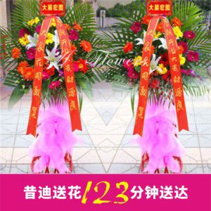 開業(yè)花籃B款（一對共2個）
