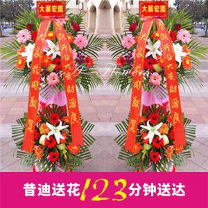 開業(yè)花籃C款（一對共2個）