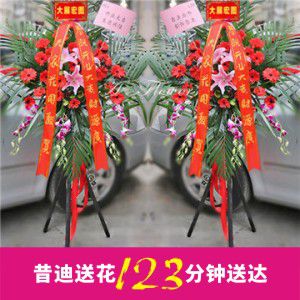 開業(yè)花籃D款（一對共2個）