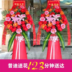 開業(yè)花籃H9（一對共2個）